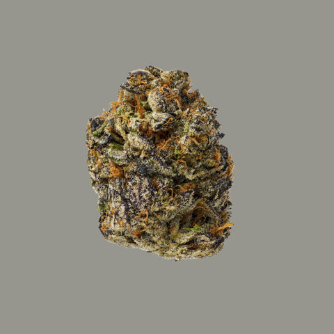 Gary Payton THCa flower bud with purple, green and orange coloring