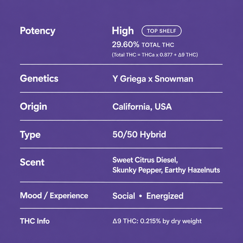Gary Payton THCa flower strain profile with potency, genetics, type, scent and experience